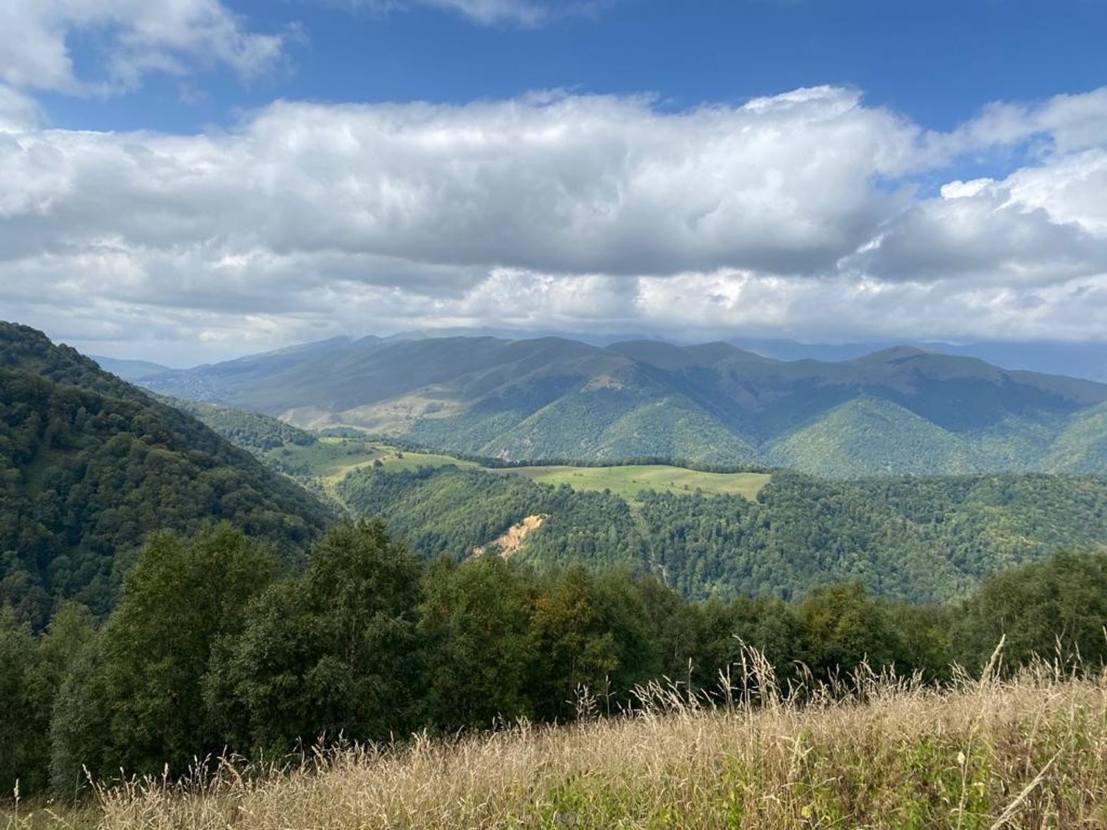 My Forest Armenia's Reforestation Areas: Dilijan National Park ...