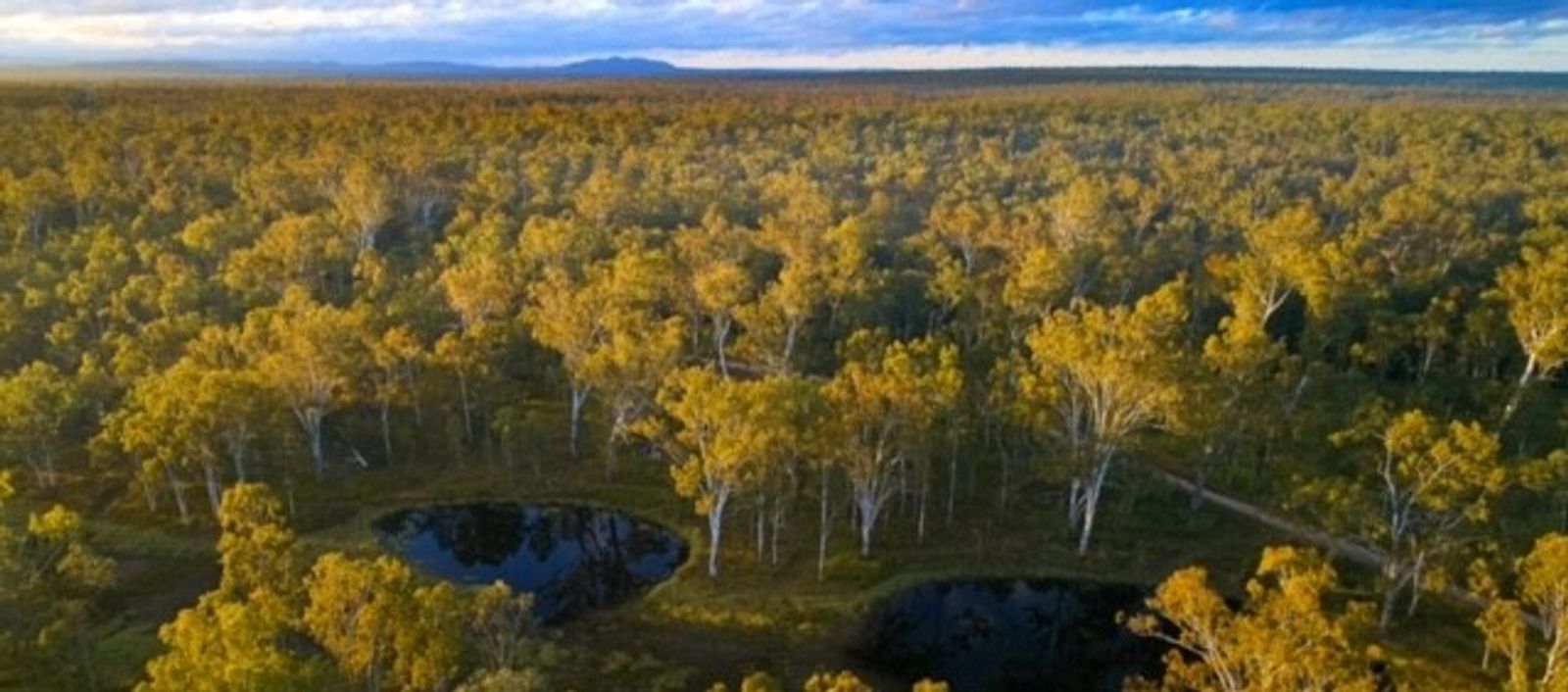 Bush Heritage Australia - explorer.land