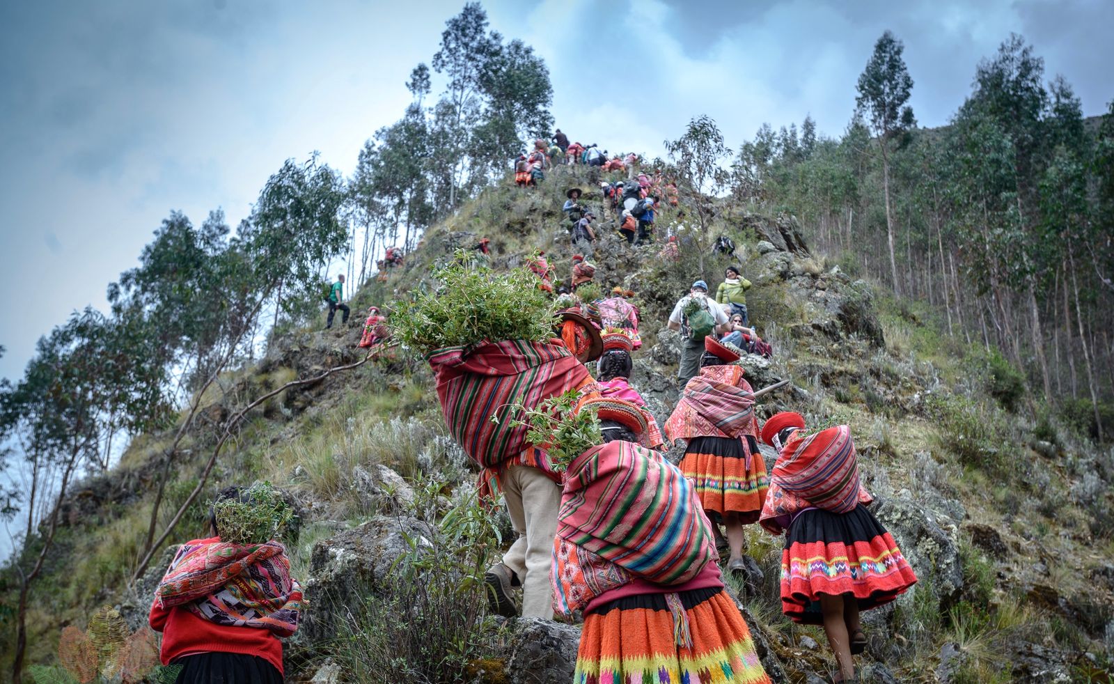 The Andean Region. Журема дерево Перу фото. They visited a Village in Andes. 2 They went to Philippines on their Honeymoon..