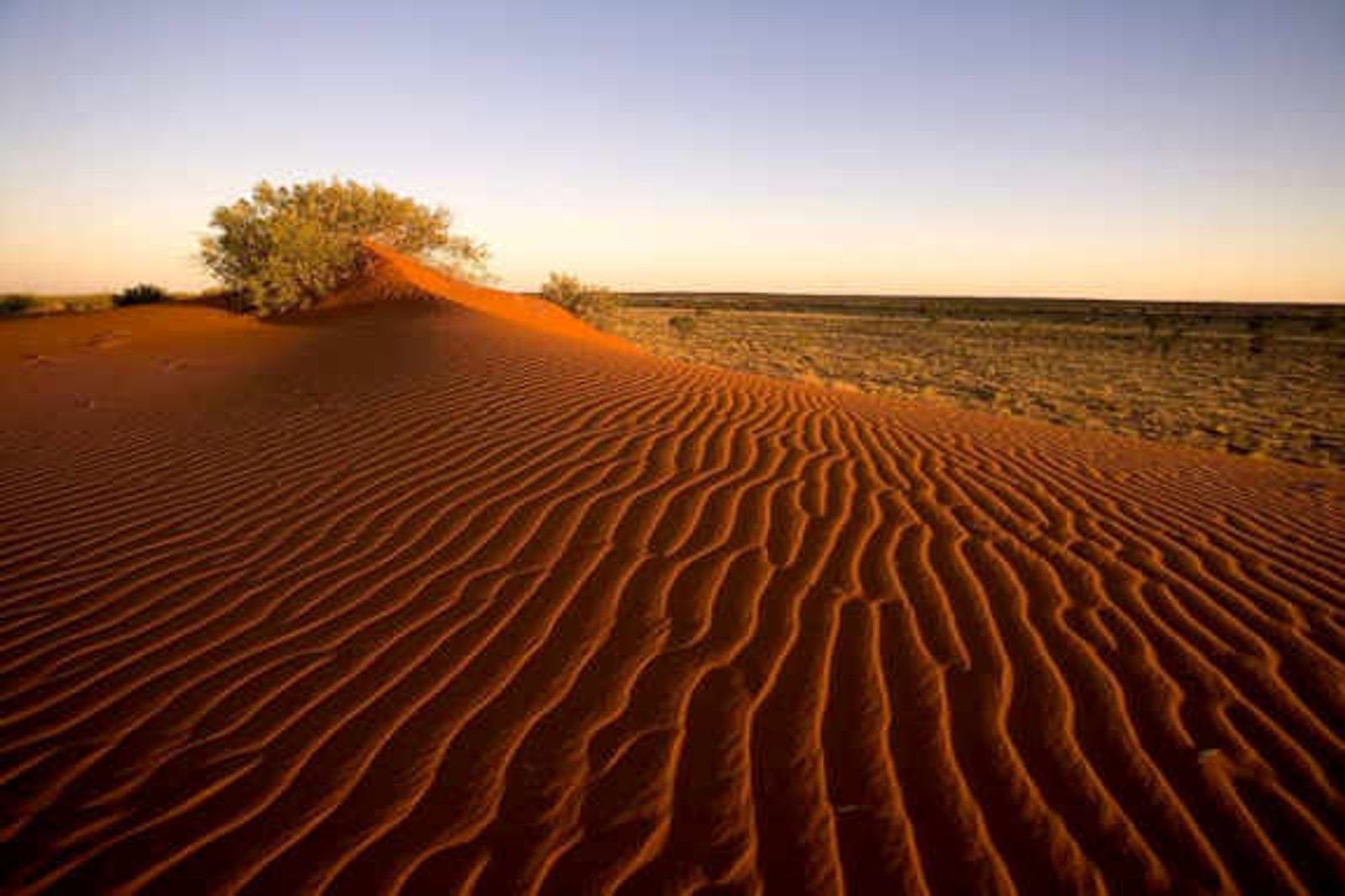 Пустыня гибсона австралия. Пустыня Симпсона в Австралии. Симпсон Дезерт национальный парк Австралии. Большая Песчаная пустыня в Австралии.