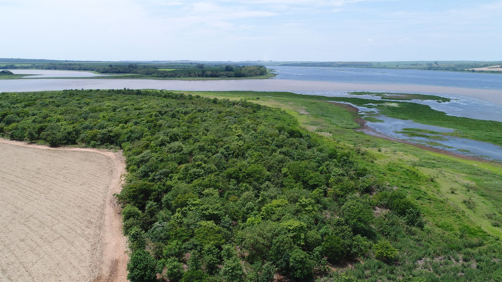 MSD Animal Health Tietê Forests Weforest