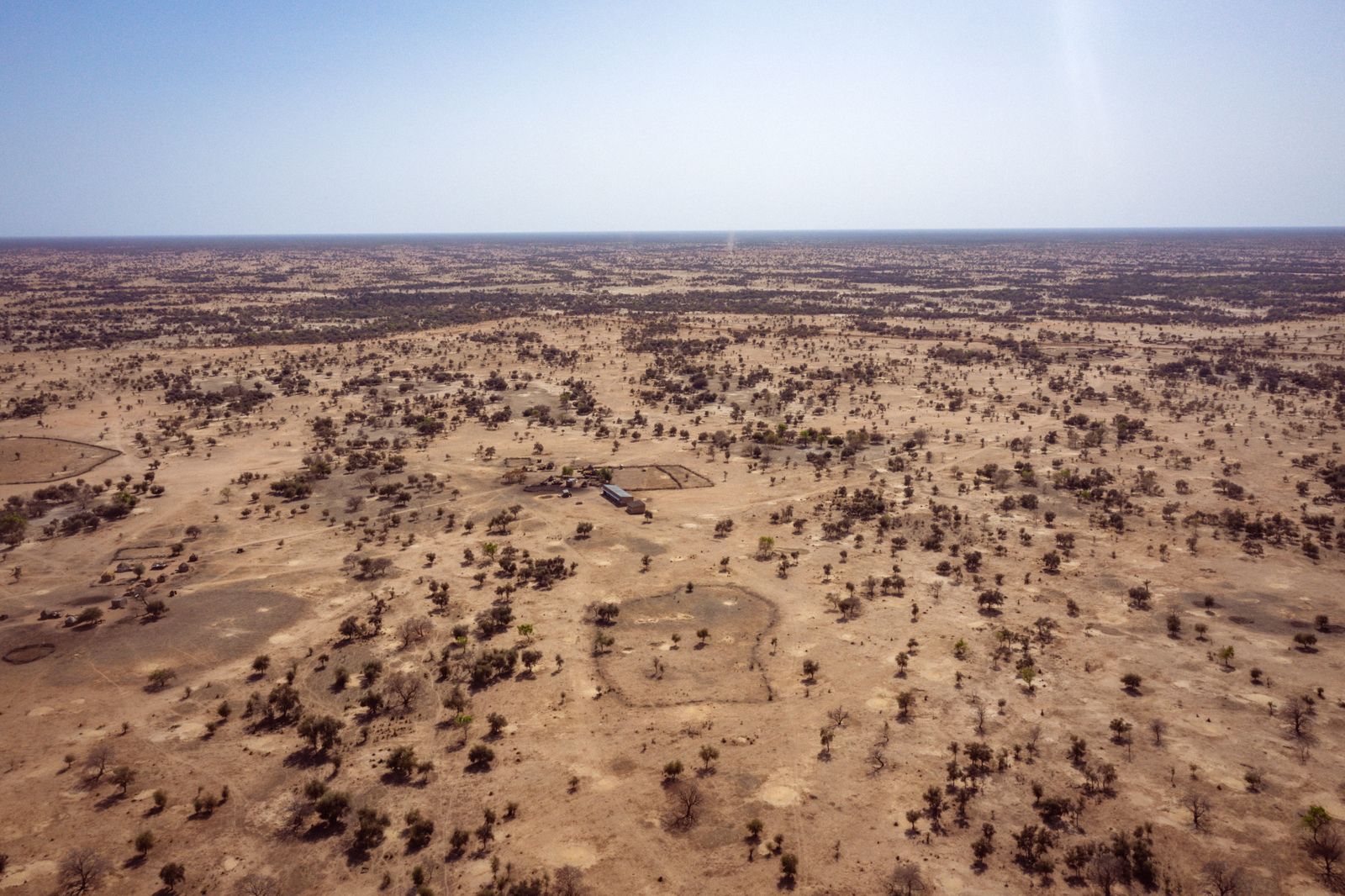 The Great Green Wall Programme explorer.land